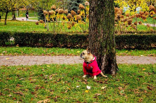 Les centres de santé et le système de santé publique